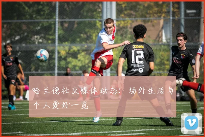 哈兰德社交媒体动态:场外生活与个人爱好一览