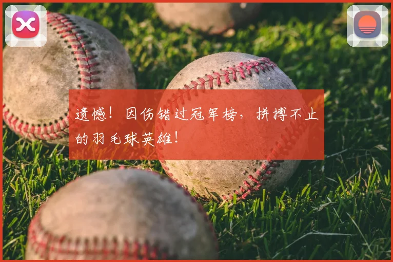 遗憾！因伤错过冠军榜，拼搏不止的羽毛球英雄！